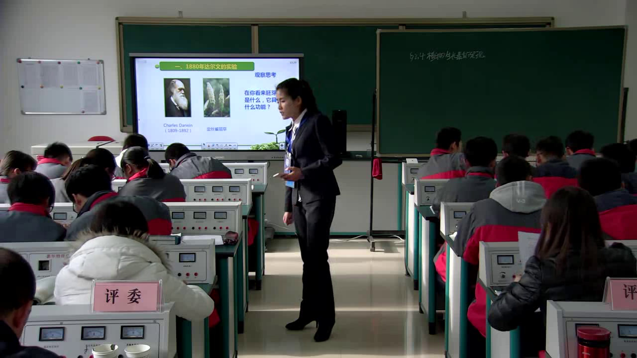 苏教版生物必修3《植物生长素的发现》陕西吕老师-全国一等奖