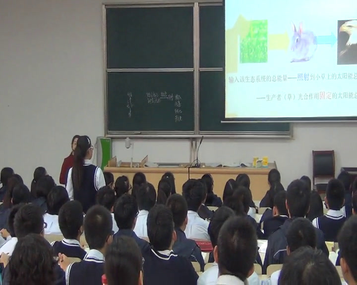 苏教版生物必修3《生态系统中的能量流动》江苏华老师-市一等奖