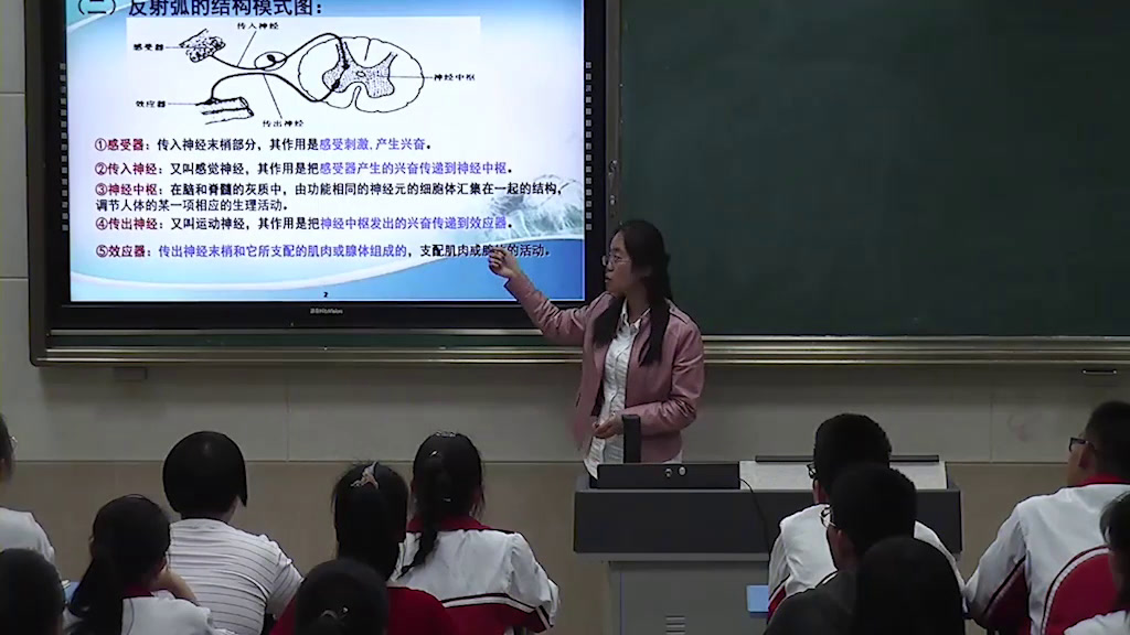 苏教版生物必修3《人体生命活动的神经调节》山东王老师-市一等奖