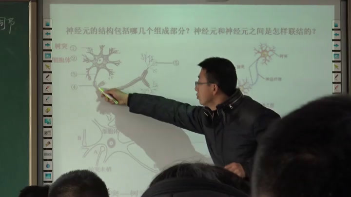 苏教版生物必修3《人体生命活动的神经调节》江苏徐老师-市一等奖