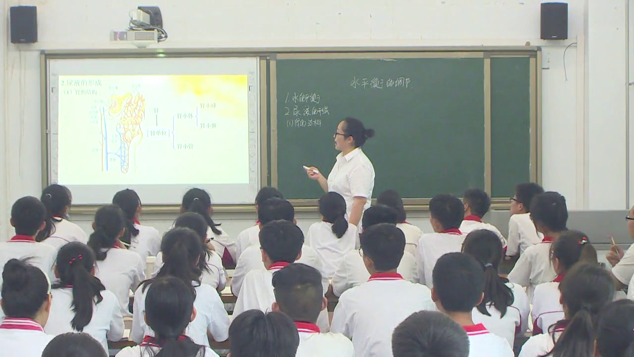 苏教版生物必修3《水和无机盐的调节》陕西老师-