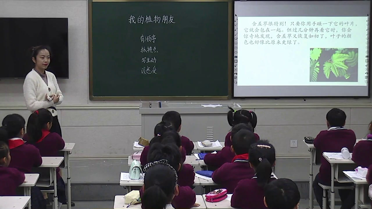 部编版语文三下《习作我的植物朋友》河南李老师-市一等奖
