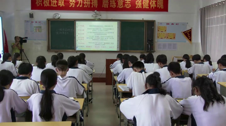 部编版语文八下《被压扁的沙子》海南曾老师-省一等奖