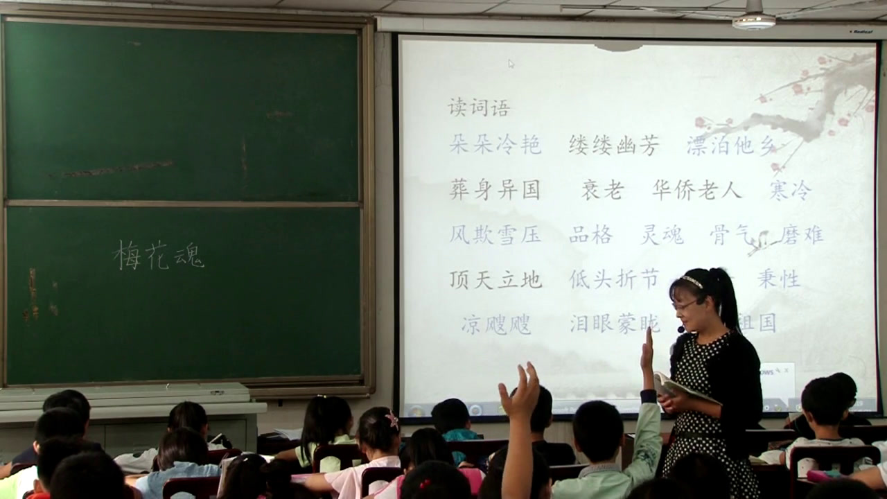 部编版语文五下《 梅花魂》河南老师-省一等奖
