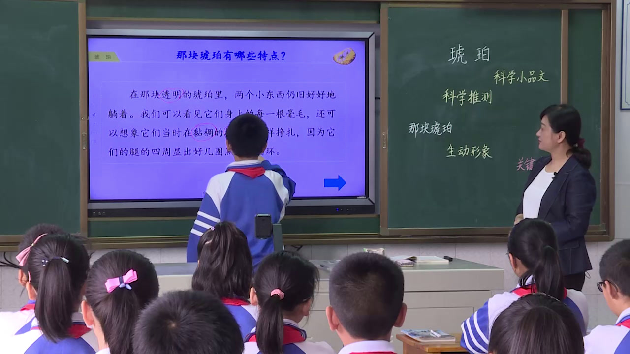 部编版语文四下《5.琥珀》湖南老师-全国一等奖