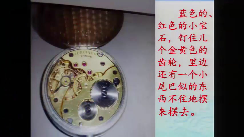 部编版语文六下《15.表里的生物》广东老师-县级优课