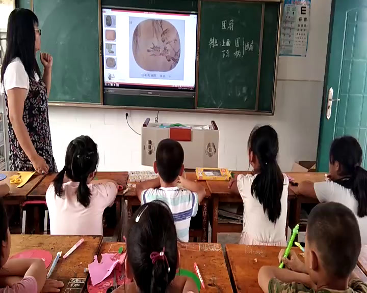 湘美版美术五下《9.团扇》陕西张老师-市一等奖