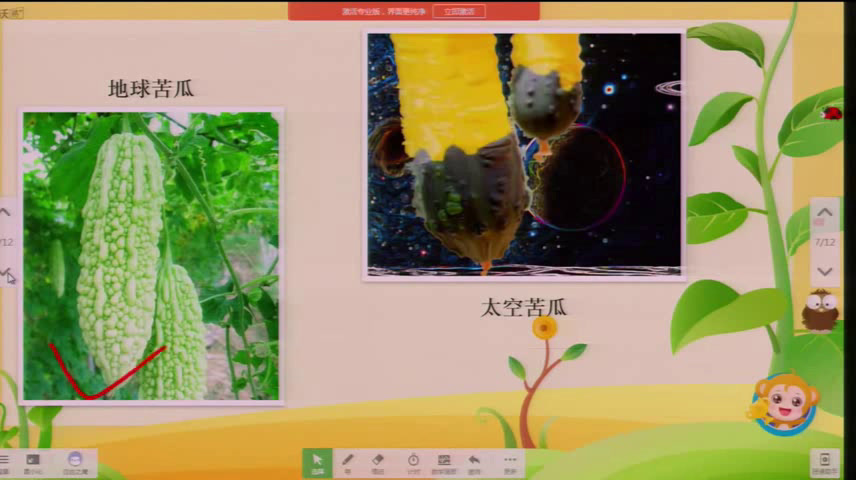 人教版美术一下《第11课　太空里的植物》湖南肖老师-省一等奖
