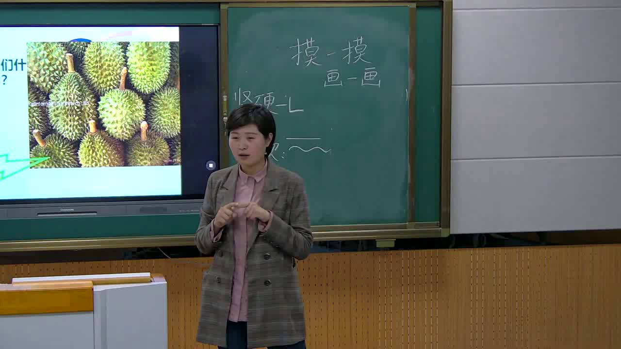 人教版美术一下《第6课　摸一摸画一画》安徽王老师-市一等奖
