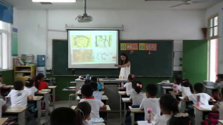 苏少版美术一下《第16课画味觉、画嗅觉》江苏邹老师-市一等奖