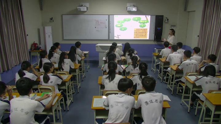 华东师大版数学八下《分式》海南罗老师-省一等奖