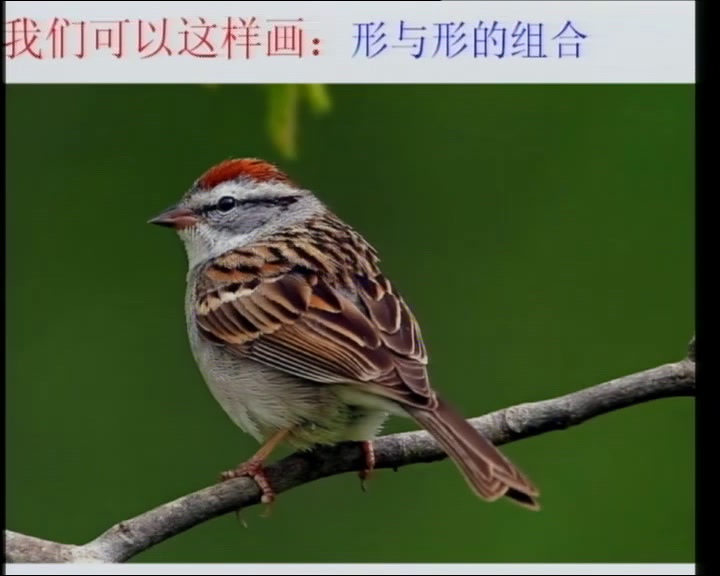 岭南版美术一下《5.快乐的小鸟》广东钱老师-市一等奖