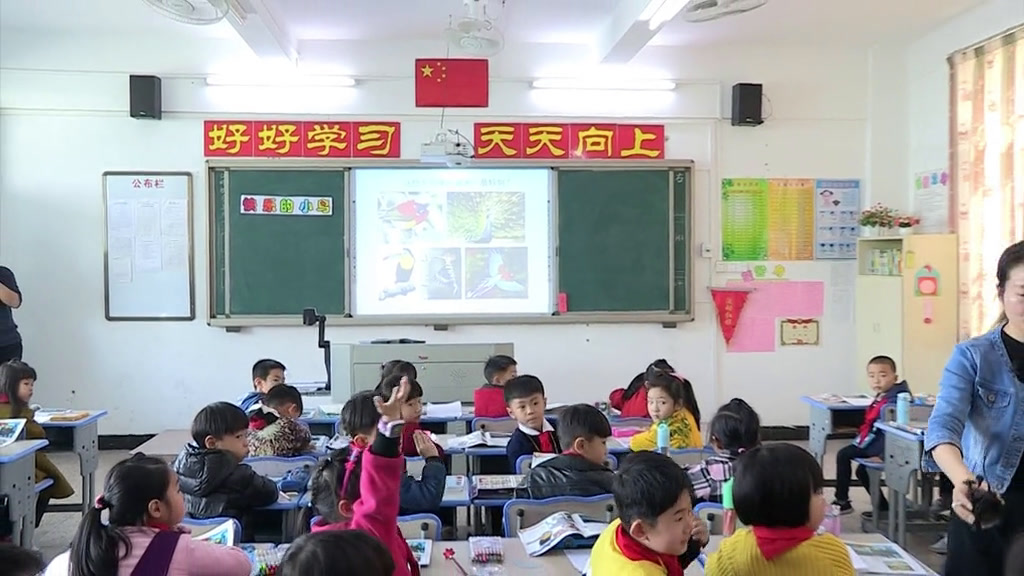 岭南版美术一下《5.快乐的小鸟》广东蔡老师-省一等奖