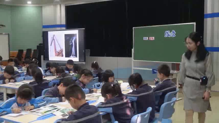 岭南版美术二下《3.美妙多变的线条》广东徐老师-全国一等奖