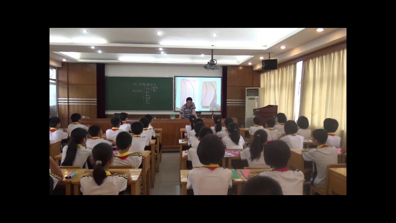岭南版美术六下《10.会跳舞的鸟》广东陈老师-市一等奖