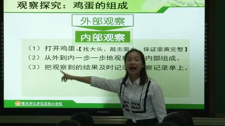 教科版科学四下《动物的卵》重庆肖老师-全国一等奖