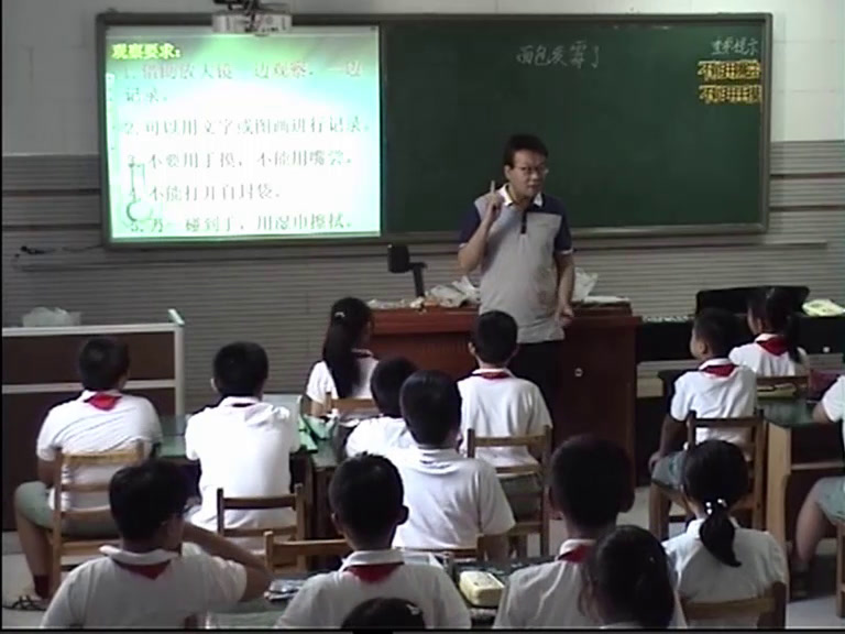 教科版科学四下《面包发霉了》天津刘老师-全国一等奖