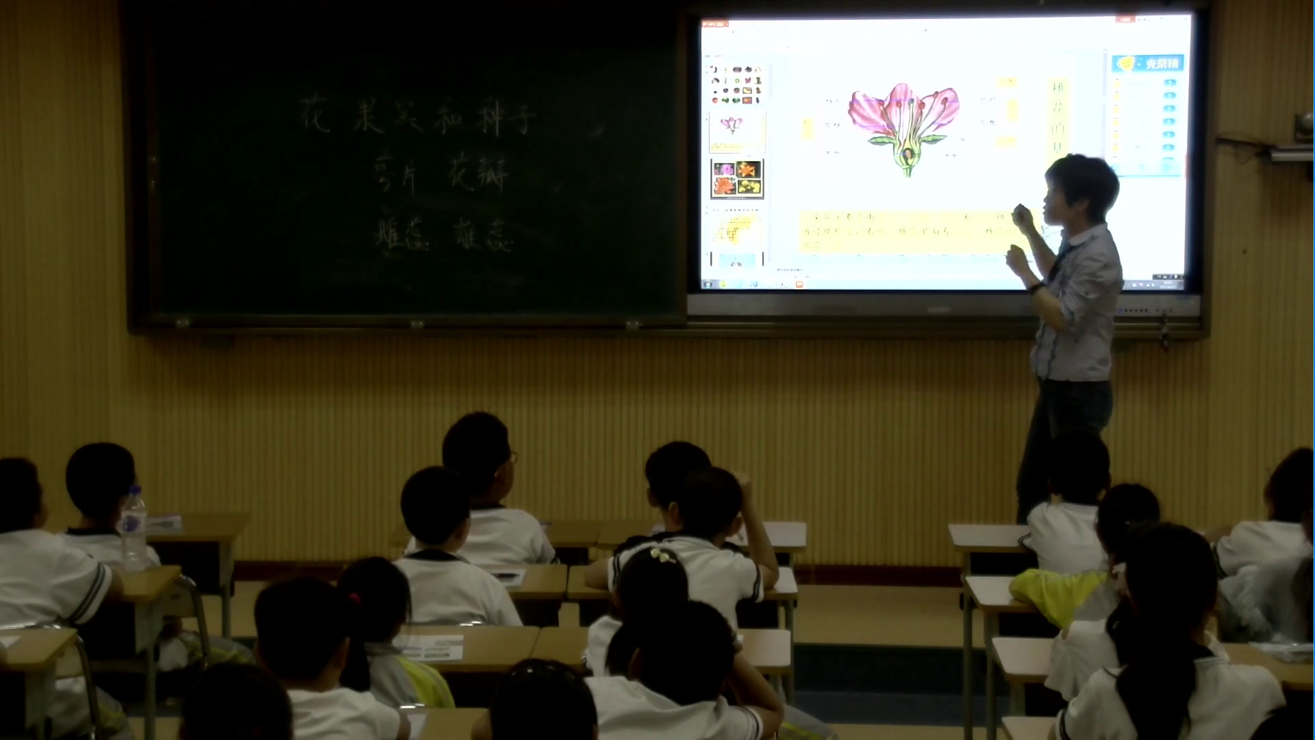 教科版科学四下《花、果实和种子》吉林老师-市一等奖