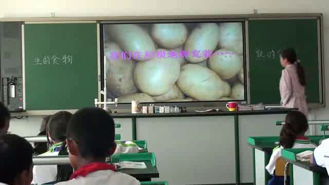 教科版科学四下《生的食物和熟的食物》新疆李老师-省一等奖