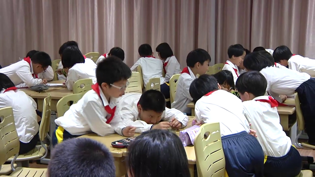 教科版科学四下《面包发霉了》浙江李老师-全国一等奖