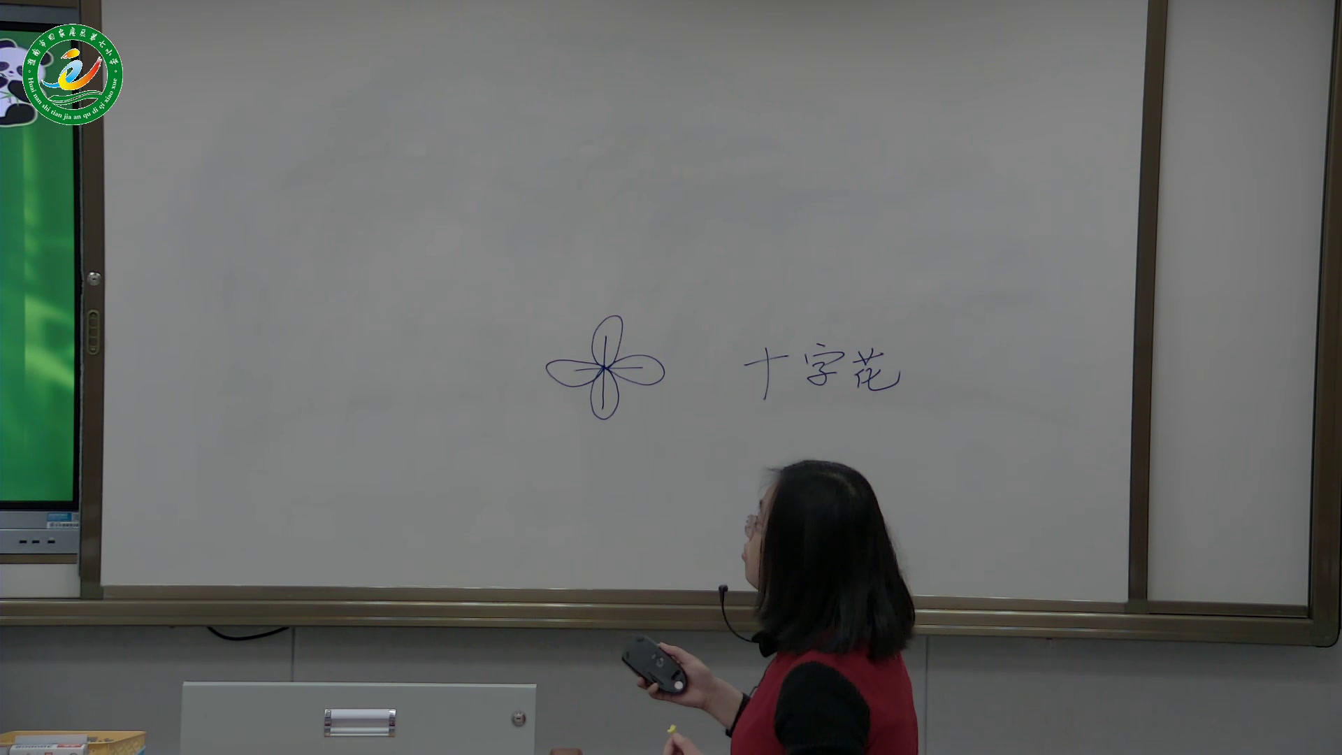教科版科学四下《油菜花开了》安徽老师-市一等奖