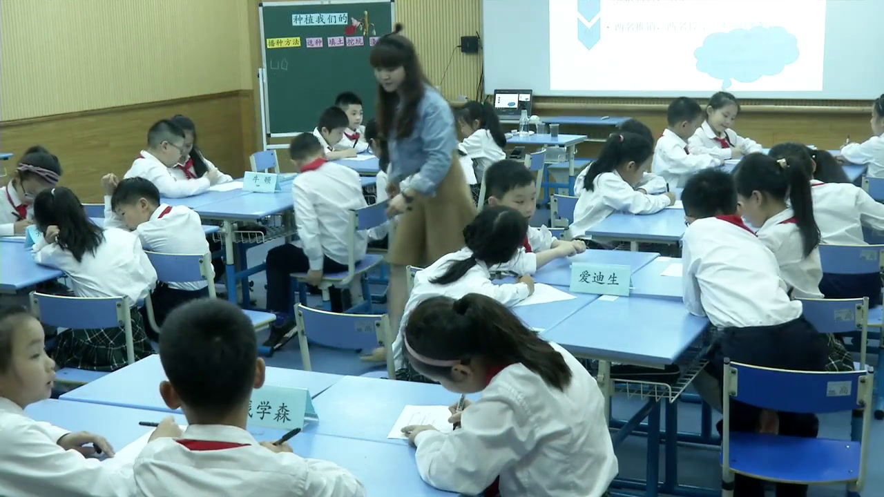 教科版科学三下《种植我们的植物》浙江董老师-省一等奖