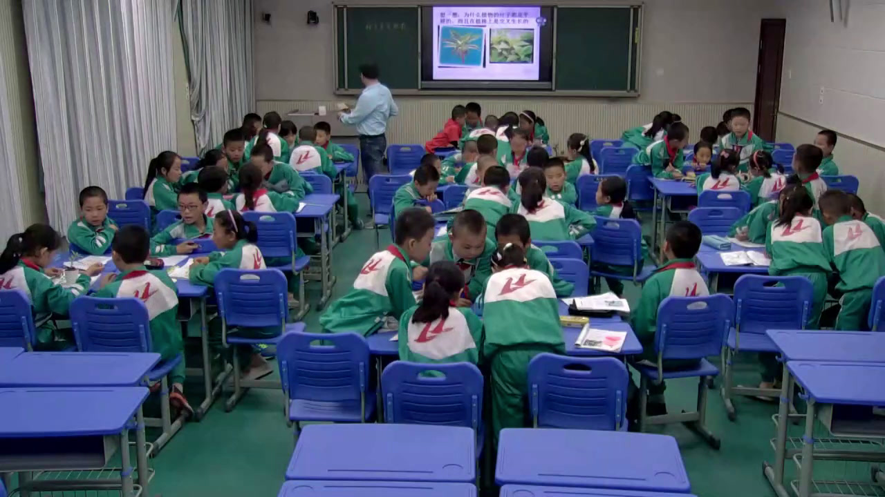 教科版科学三下《种子变成了幼苗》宁夏郭老师-省一等奖