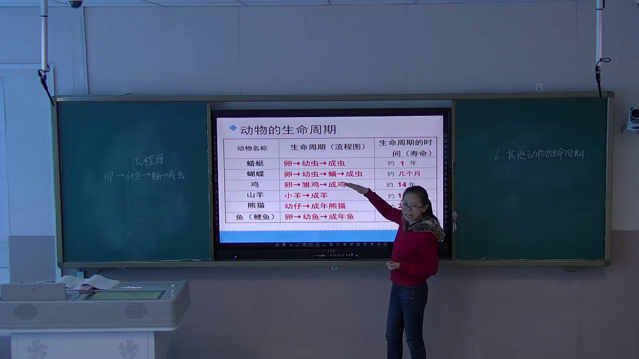 教科版科学三下《其他动物的生命周期》新疆范老师-省一等奖