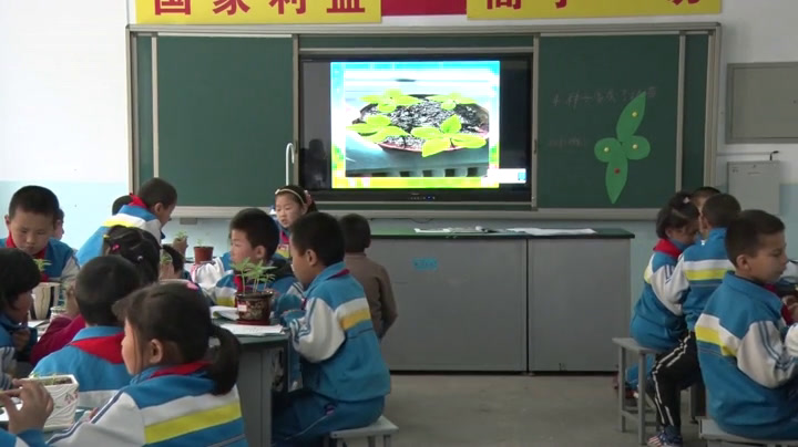 教科版科学三下《种子变成了幼苗》新疆母老师-省一等奖