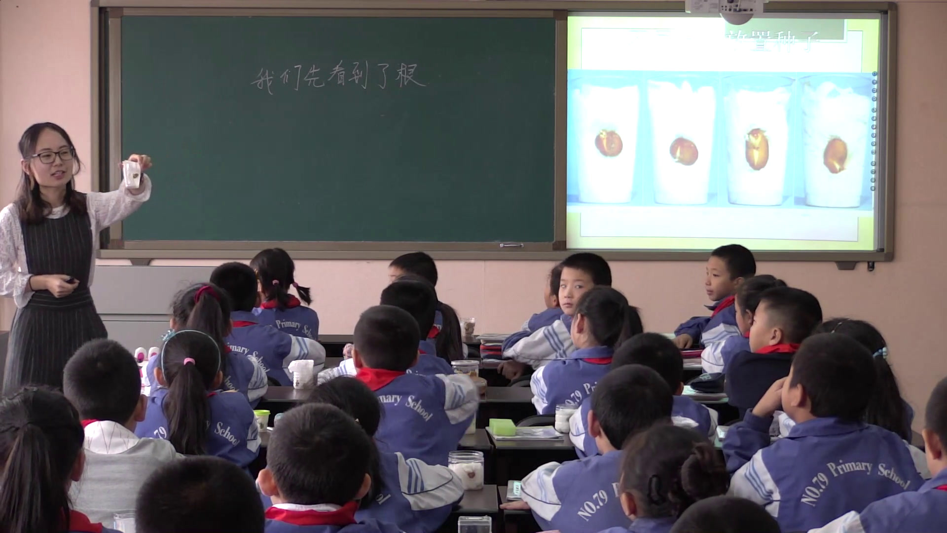 教科版科学三下《我们先看到了根》新疆周老师-省一等奖
