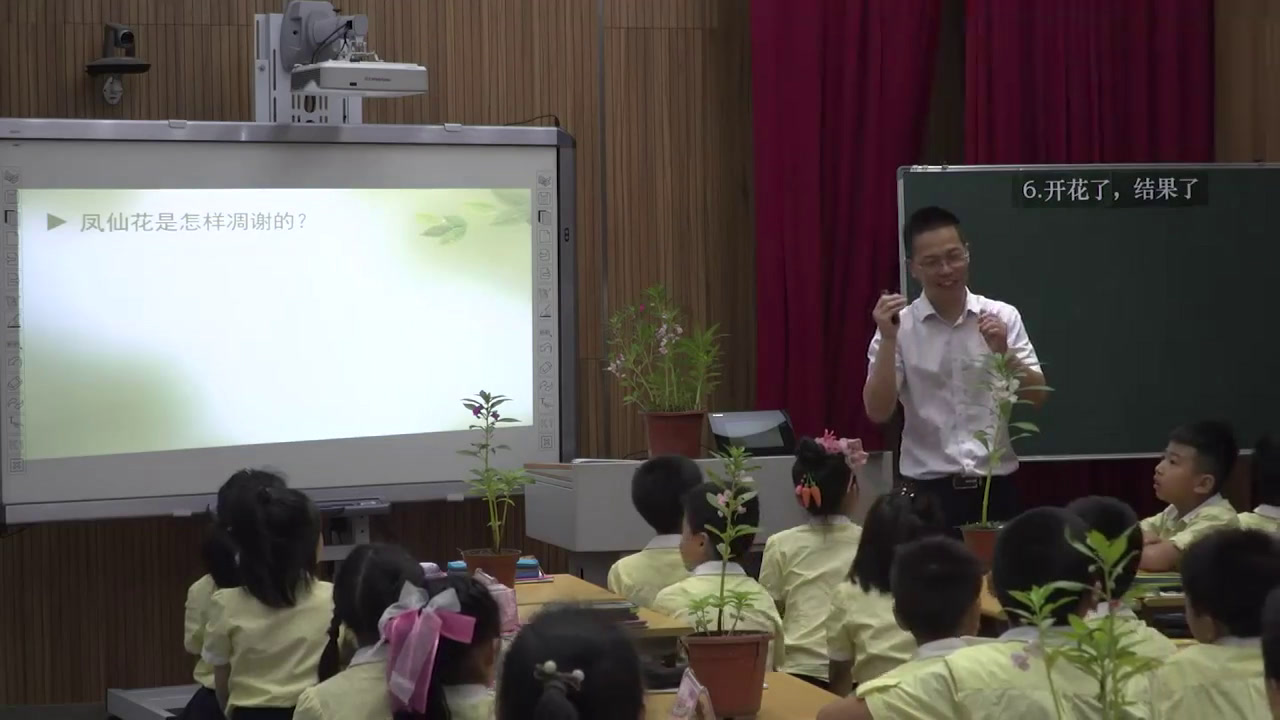 教科版科学三下《开花了，结果了》浙江戴老师-全国一等奖