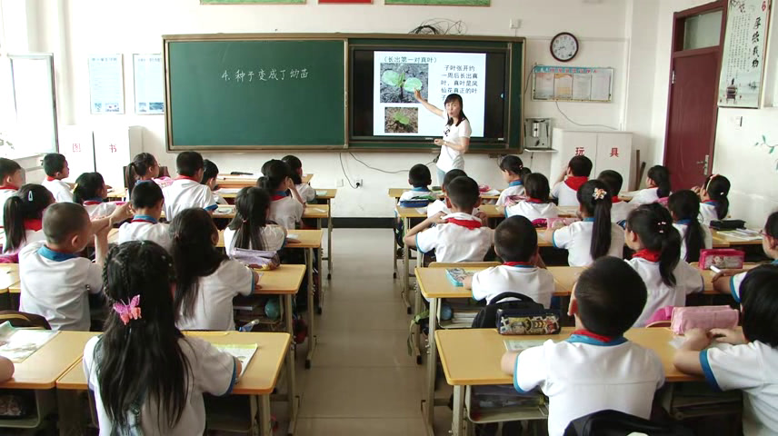 教科版科学三下《种子变成了幼苗》吉林王老师-省一等奖