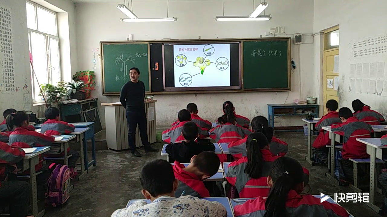 教科版科学三下《开花了，结果了》新疆王老师-省一等奖