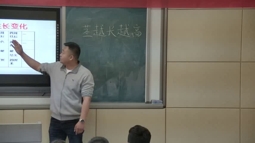 教科版科学三下《茎越长越高》安徽老师-市一等奖