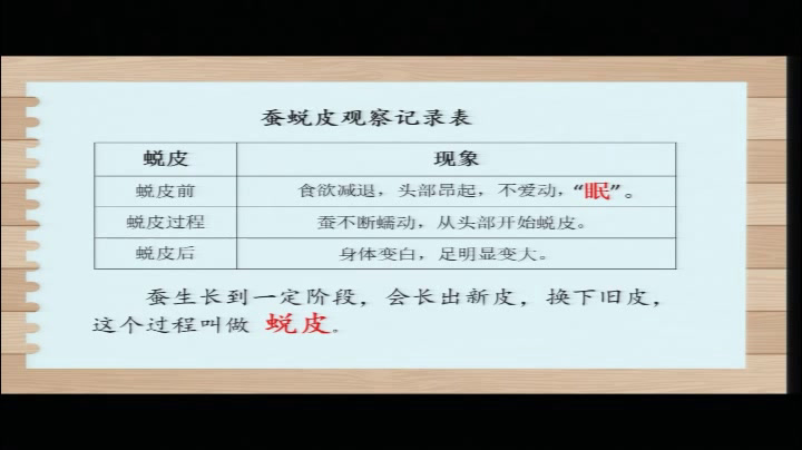 教科版科学三下《蚕的生长变化》吉林罗老师-市一等奖