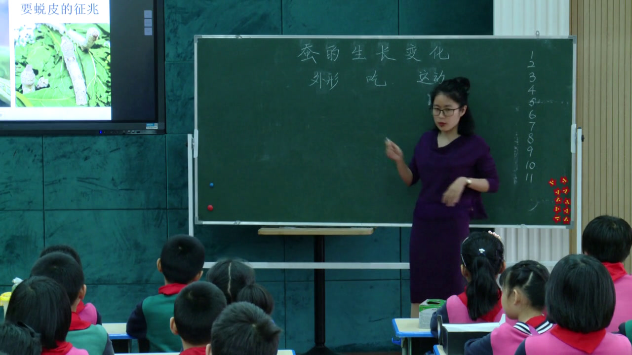 教科版科学三下《蚕的生长变化》浙江汪老师-市一等奖