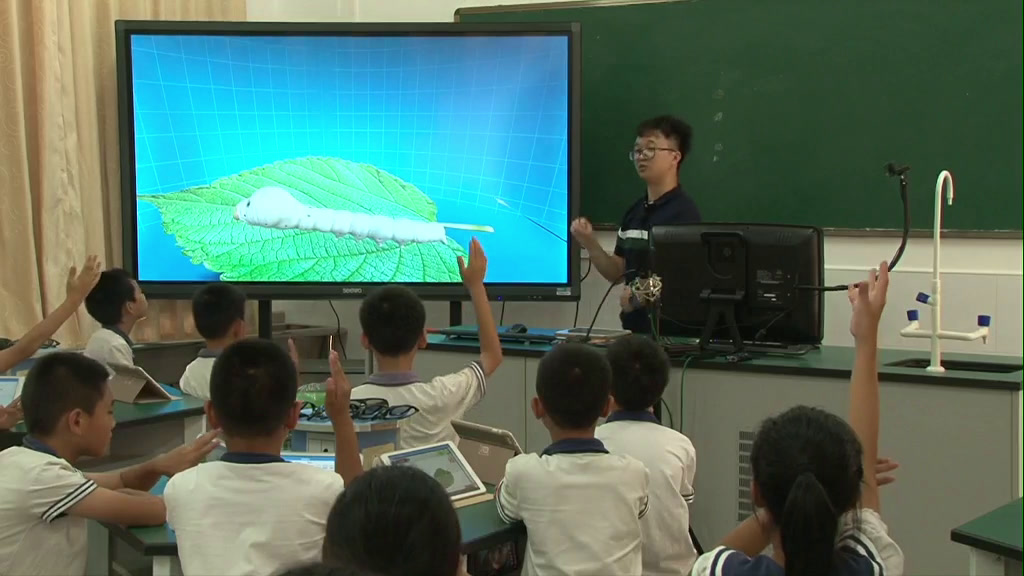 教科版科学三下《蚕的生命周期》广东老师-市一等奖