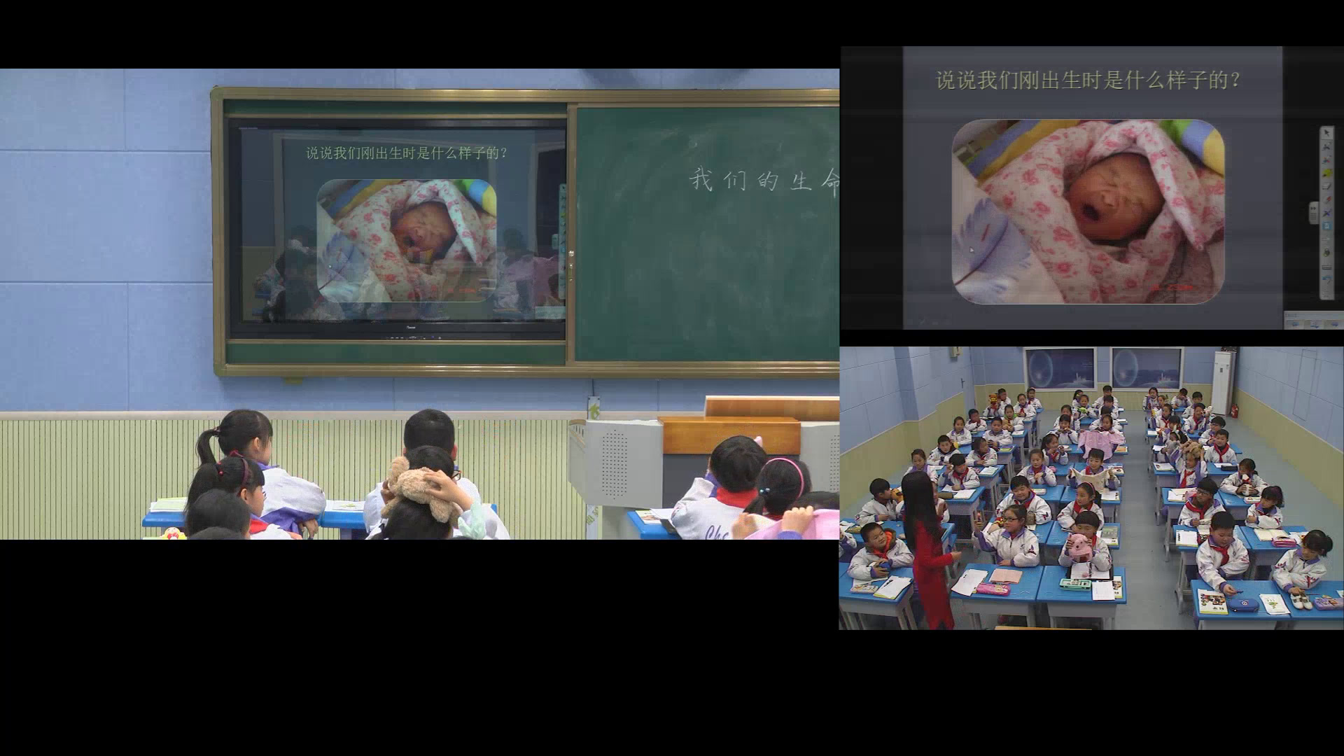 教科版科学三下《我们的生命周期》安徽吴老师-市一等奖