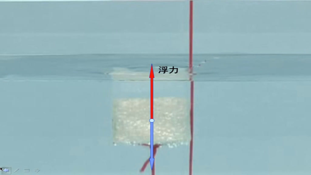 教科版科学五下《浮力》安徽老师-市一等奖