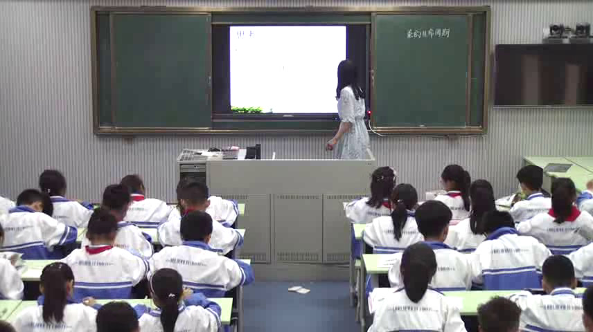 教科版科学三下《蚕的生命周期》安徽韩老师-市一等奖