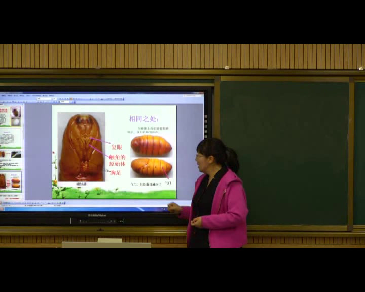 教科版科学三下《蚕变了新模样》陕西常老师-市一等奖