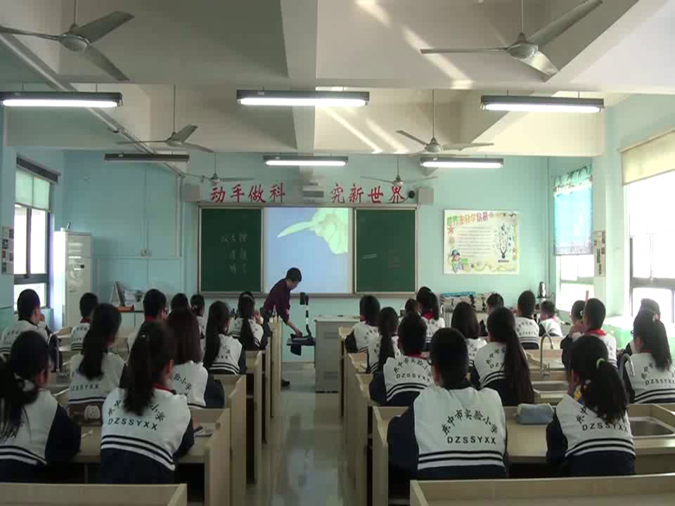 教科版科学六下《放大镜》江苏殷老师-市一等奖