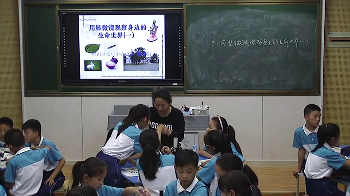 教科版科学六下《用显微镜观察身边的生命世界（一）》江苏陈老师-市一等奖