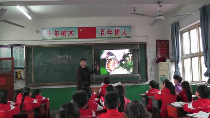 冀人2001版科学四下《15毛毛虫不见了》河北高老师-市一等奖