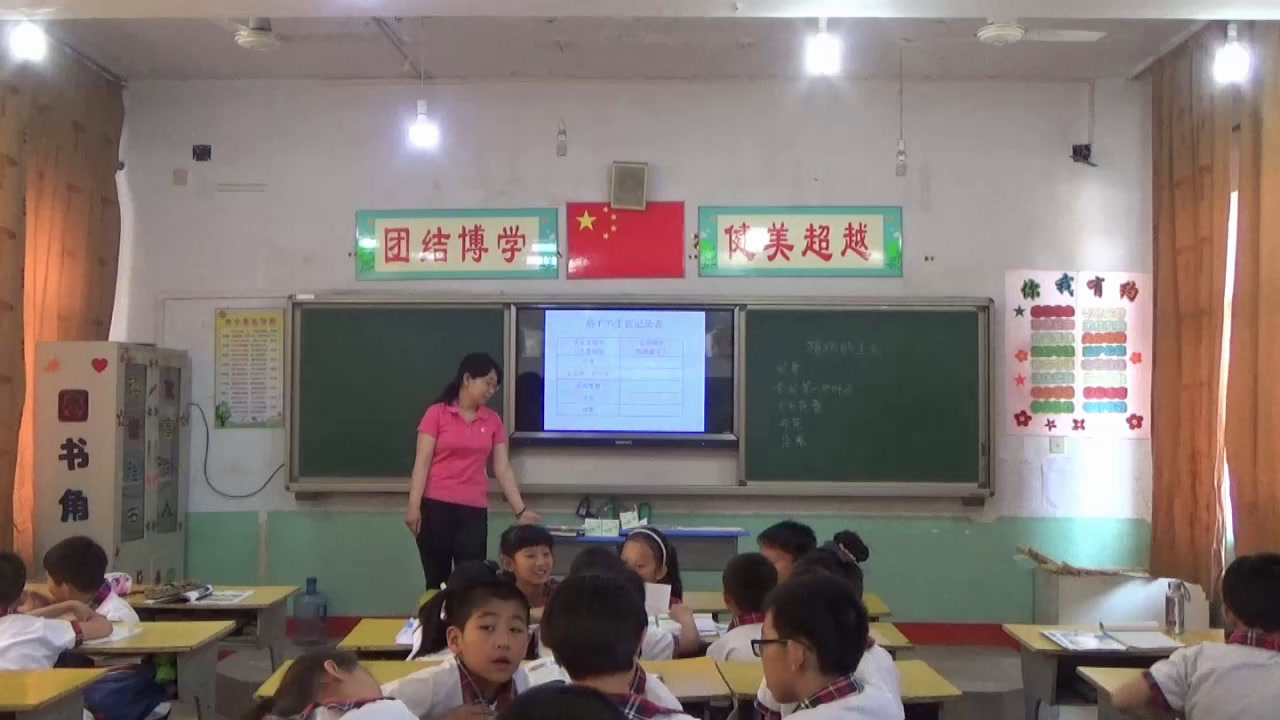 冀人2001版科学四下《12植物的生长》河北老师-县级优课