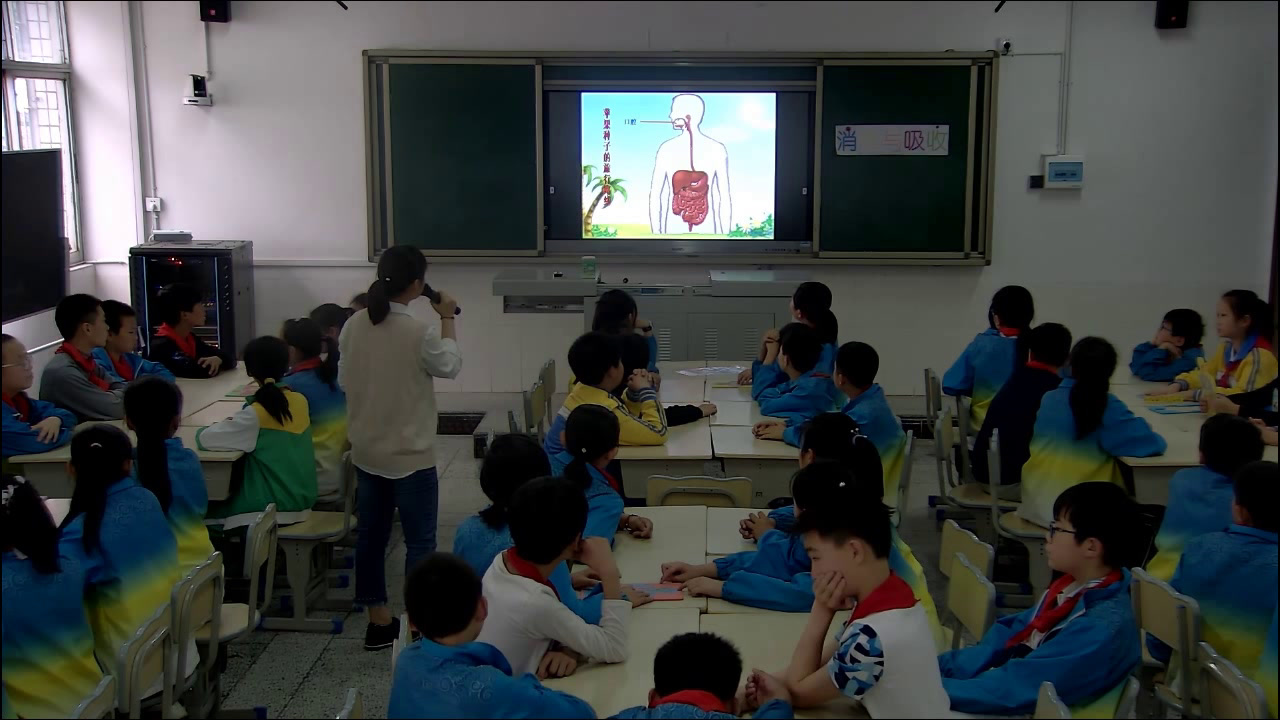 冀人2001版科学六下《5消化与吸收》湖南周老师-县级优课