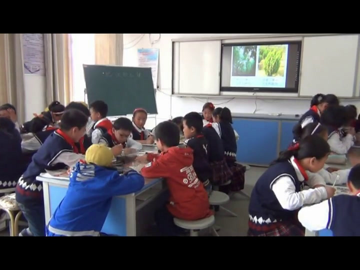 苏教2001版科学三下《3肥沃的土壤》江苏王老师-市一等奖