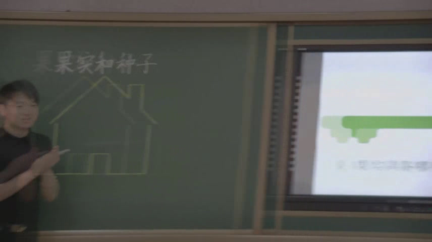 苏教2001版科学三下《1果实和种子》辽宁毕老师-市一等奖