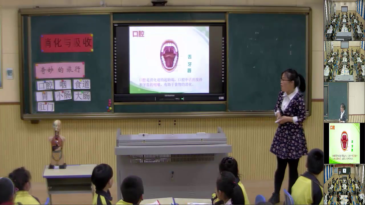 冀人2001版科学六下《5消化与吸收》河北陈老师-县级优课