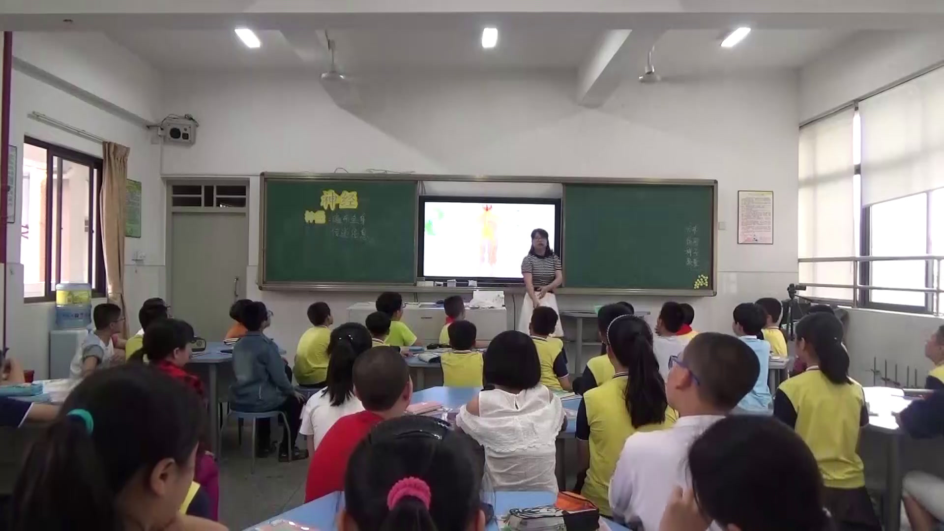 苏教2001版科学五下《2神经》福建李老师-市一等奖